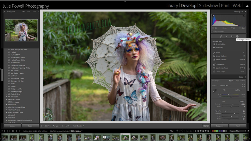 Classic Blur Lightroom Presets: Photo Editing in 1 Click 2025
