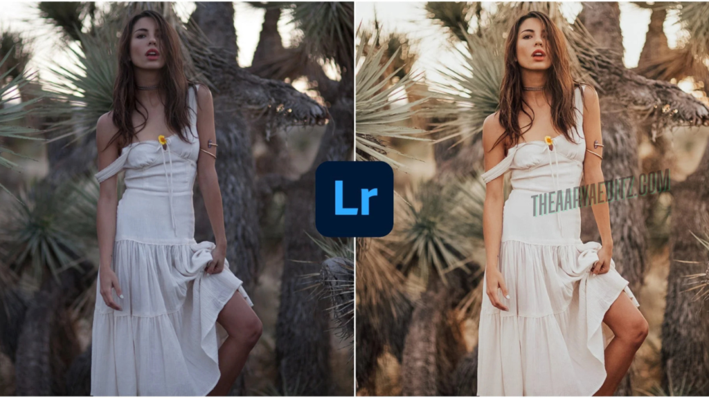 New Lightroom Presets | lightroom presets 2025