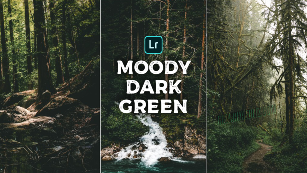 Black And Green New Lightroom Presets | Green Presets 2025