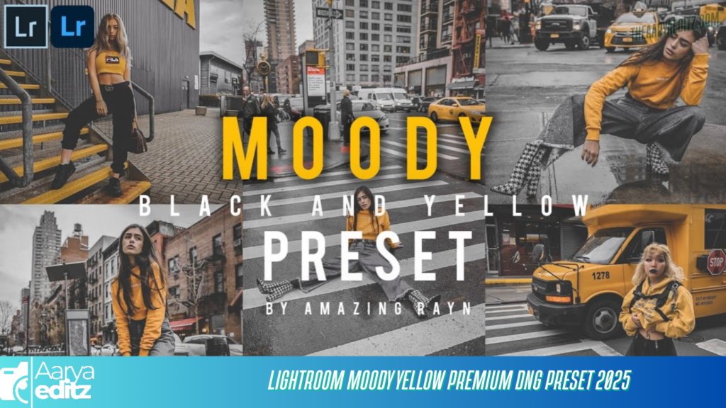 Lightroom Moody Yellow Premium Dng Preset 2025