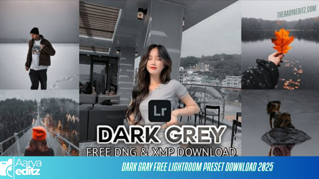 Dark Gray Free Lightroom Preset Download 2025
