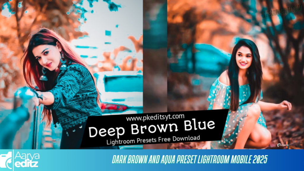 Dark Brown and Aqua Preset Lightroom Mobile 2025