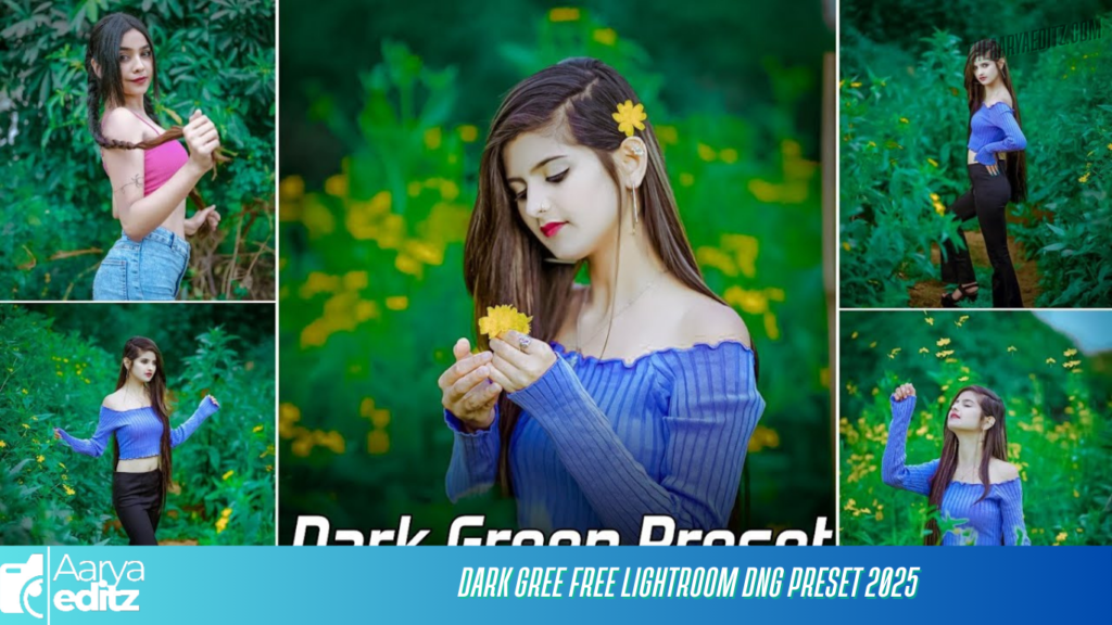 Dark Gree Free Lightroom Dng Preset 2025