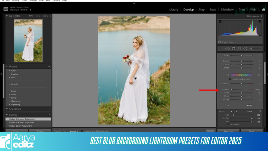 Best Blur Background Lightroom Presets for Editor 2025