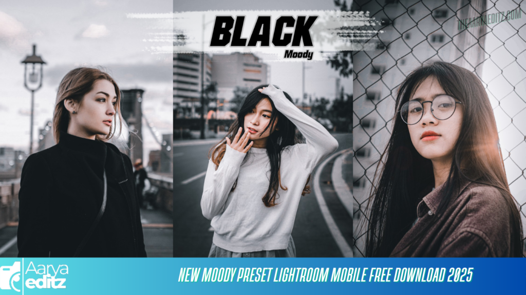 New Moody Preset Lightroom Mobile Free Download 2025