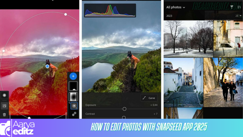 How to edit photos with Snapseed app 2025